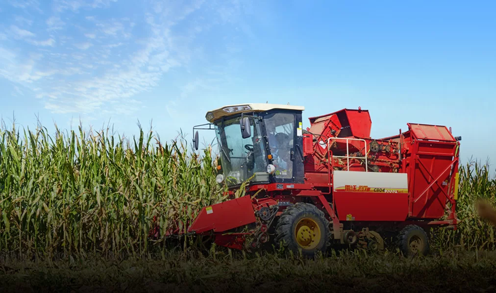 Image de référence du produit