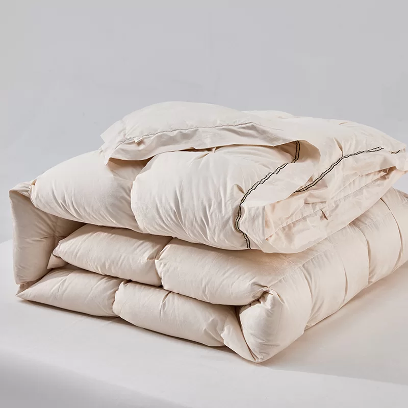 Image de référence du produit